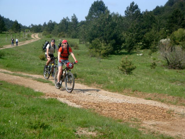 Obronki Snežniških gozdov 10.5.2009 - foto