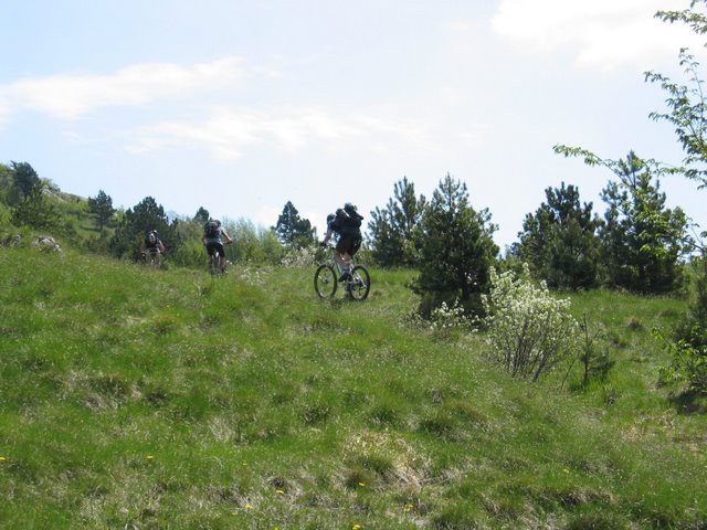 Obronki Snežniških gozdov 10.5.2009 - foto