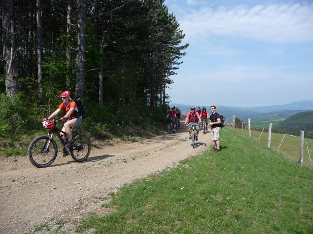 Obronki Snežniških gozdov 10.5.2009 - foto povečava