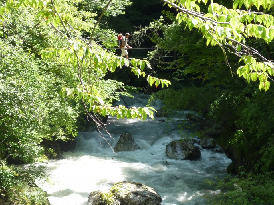 Bohinj julij 2009 - foto povečava