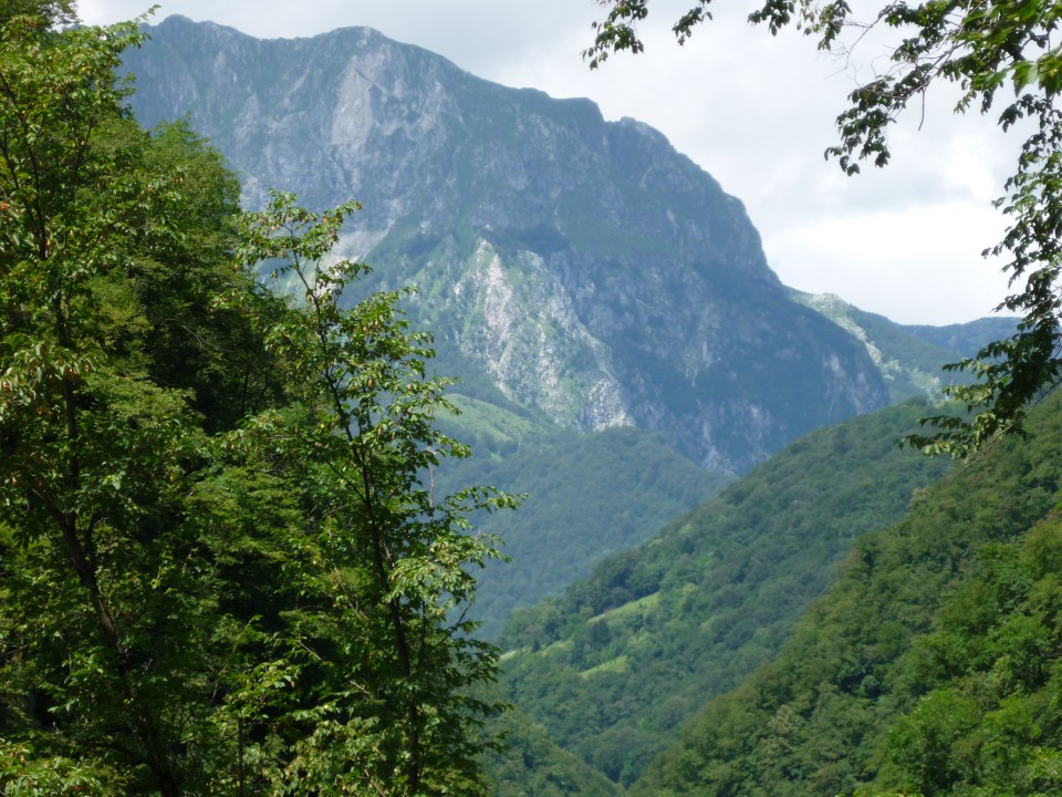 Bohinj julij 2009 - foto povečava