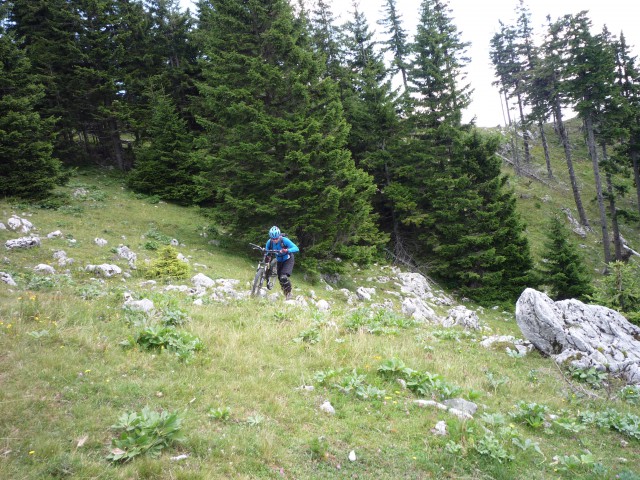 Planina Menina 26. 7. 2009 - foto