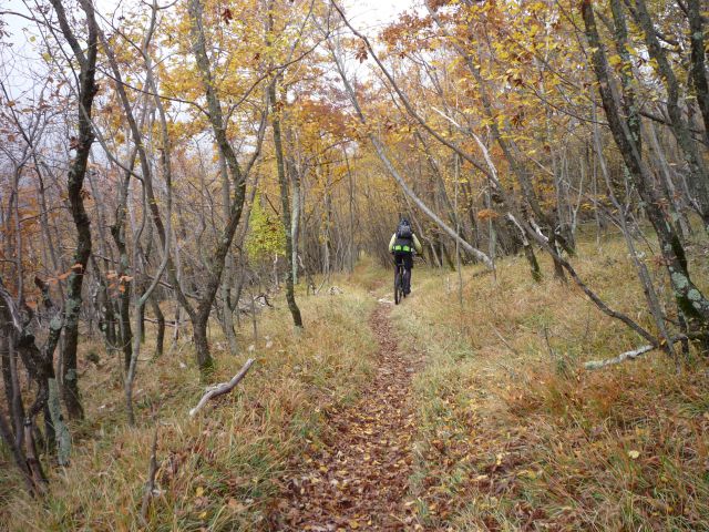 Slavnik - Kojnik - Golič 20.11.2009 - foto