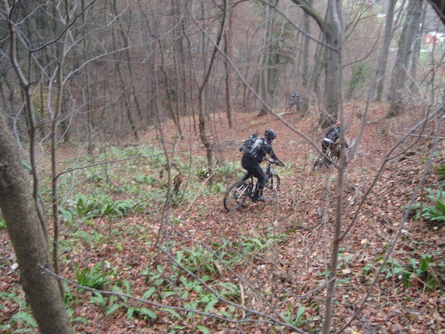 Zvezdice nad Hrastnikom - pot NOB 29.11.2009 - foto povečava