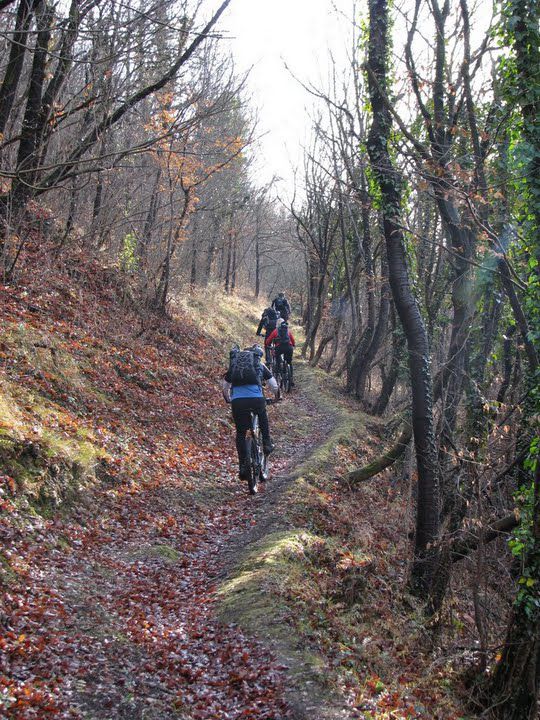 Zvezdice nad Hrastnikom - pot NOB 29.11.2009 - foto povečava