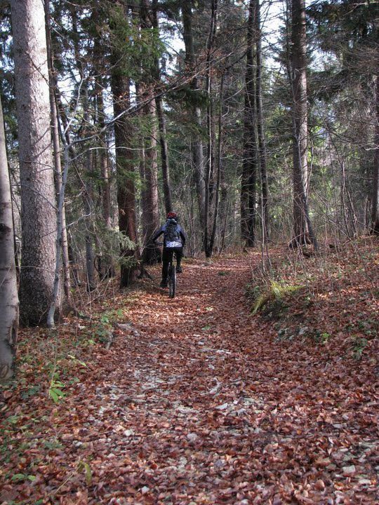 Zvezdice nad Hrastnikom - pot NOB 29.11.2009 - foto povečava