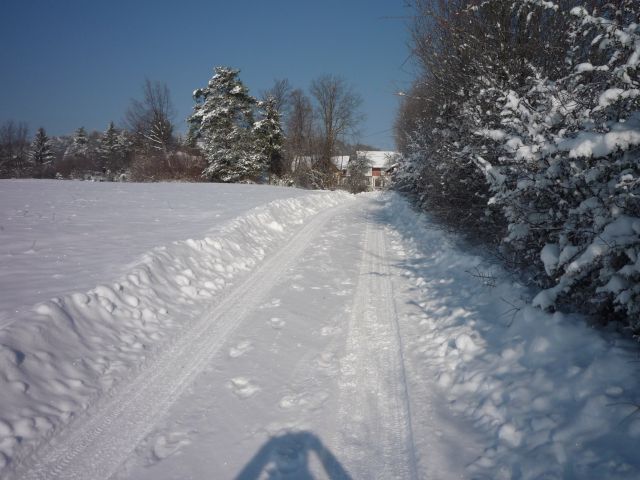 Zimske radosti 2009/2010 - foto