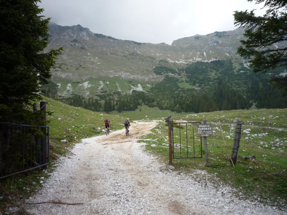 Šija-Kofce-Pirmance - foto povečava