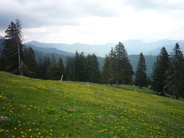 Šija-Kofce-Pirmance - foto