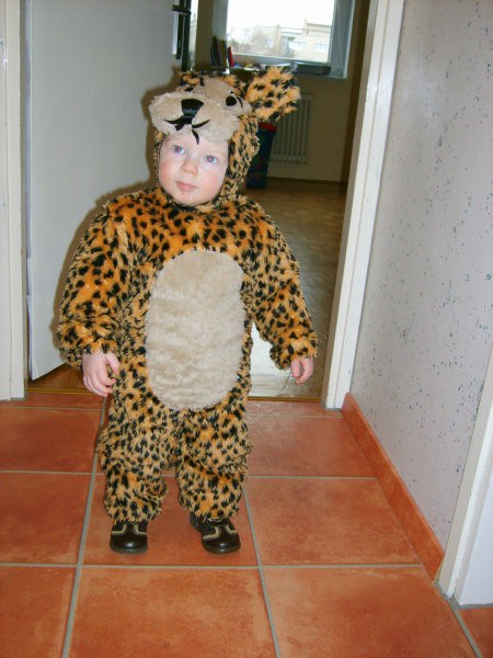 Naš mali maškar gepard Timon