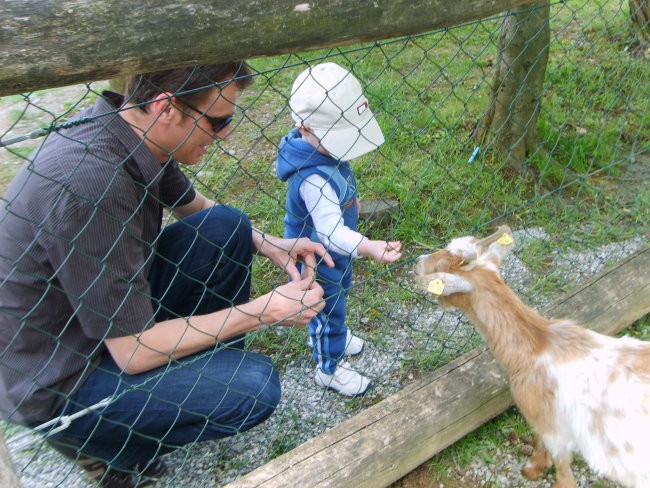 ZOO Herberstein - foto povečava