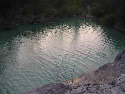 Pso1 - foto povečava