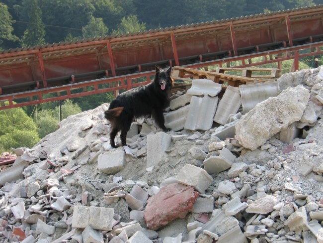 Tabor Varpolje 2006 - foto povečava