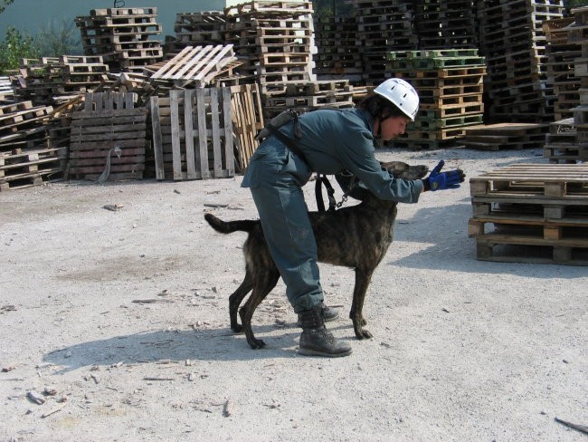 Tabor Varpolje 2006 - foto povečava