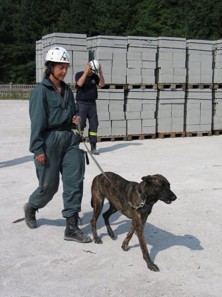 Tabor Varpolje 2006 - foto