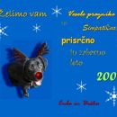 srečno novo leto