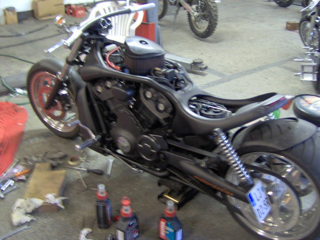 Wobbler - foto povečava