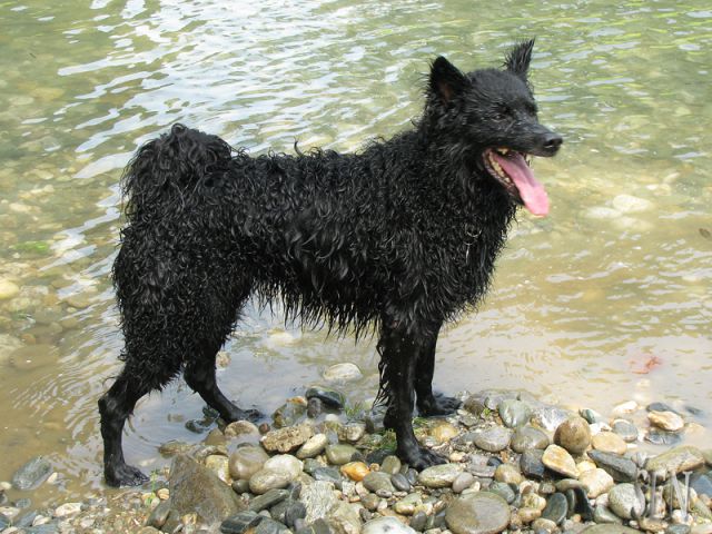 Razno - foto