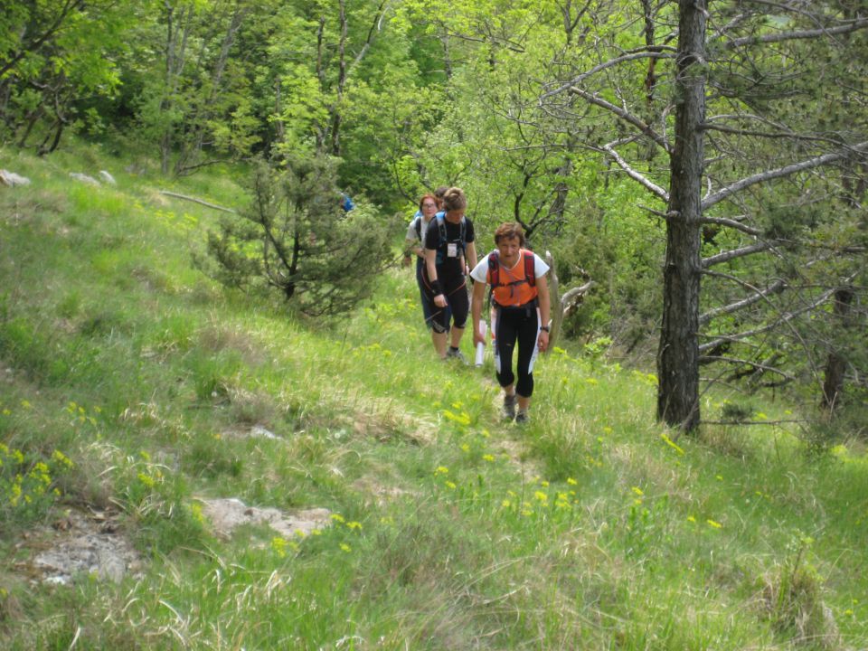 Istra trek 2011 - foto povečava