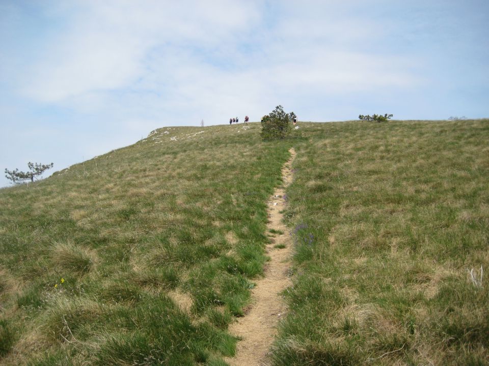 Istra trek 2011 - foto povečava