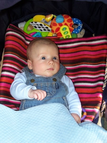 Vid - foto povečava