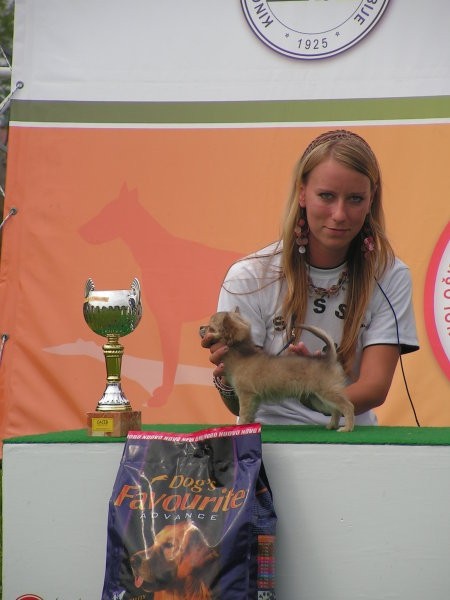 Specialka IX. grupe Beograd in CACIB Subotica - foto povečava
