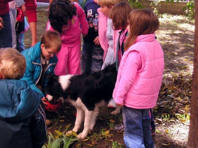 Aya oktobar 2007 - foto povečava