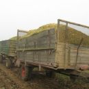 landini z dvema
