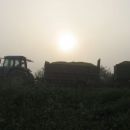 landini z dvema