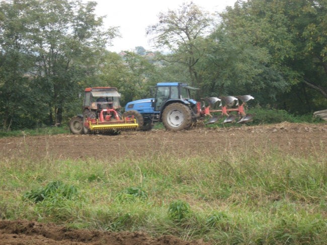 Setev ozimnih žit 2007 - foto povečava