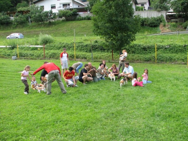 Beagle piknik,
Hrušiča 2007