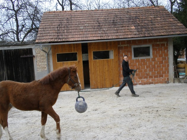 Gigi - foto povečava