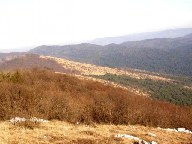 Pogled  proti grebenu - Kutlovica - Sovič 