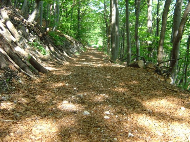 LOVRENC 07.05.2007 - foto povečava