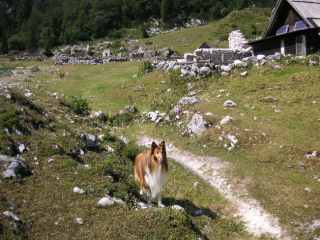 2007 07 28 Rodica - foto