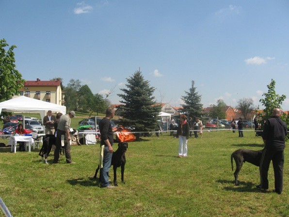 Dorin 2008 - foto povečava