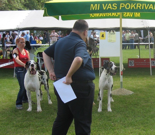 Dorin 2008 - foto