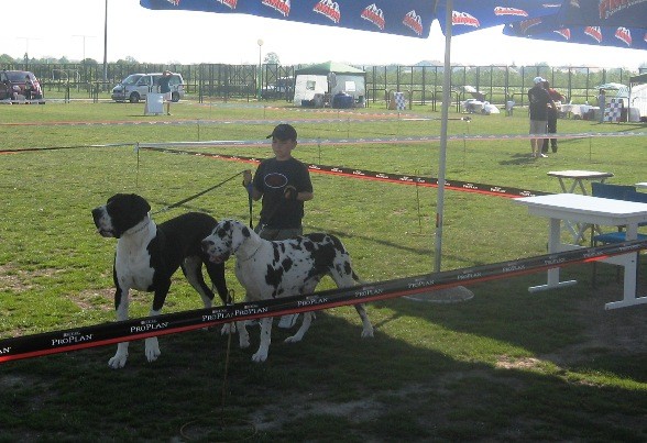 Dorin 2008 - foto