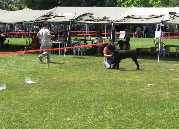 Dorin 2009 - foto povečava