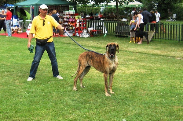 Dorin 2009 - foto povečava