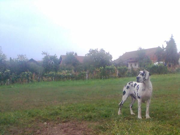 Jesen 2009 - foto