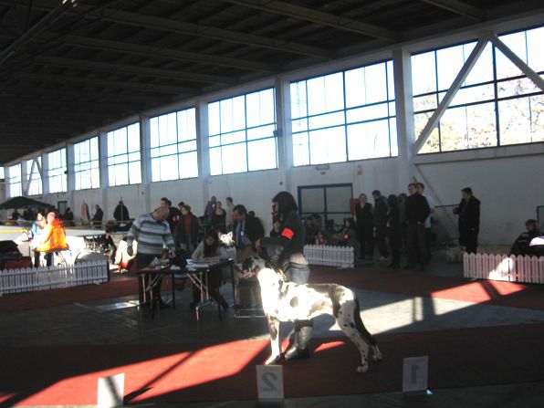 Izložbe 2010 - foto