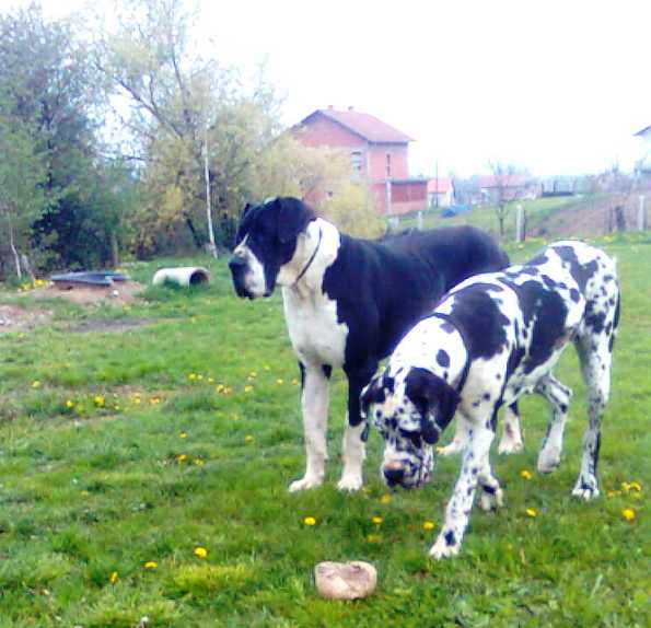 Izložbe 2010 - foto povečava