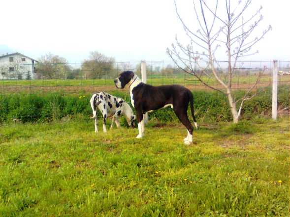 Izložbe 2010 - foto povečava