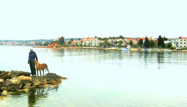 Izložbe 2010 - foto