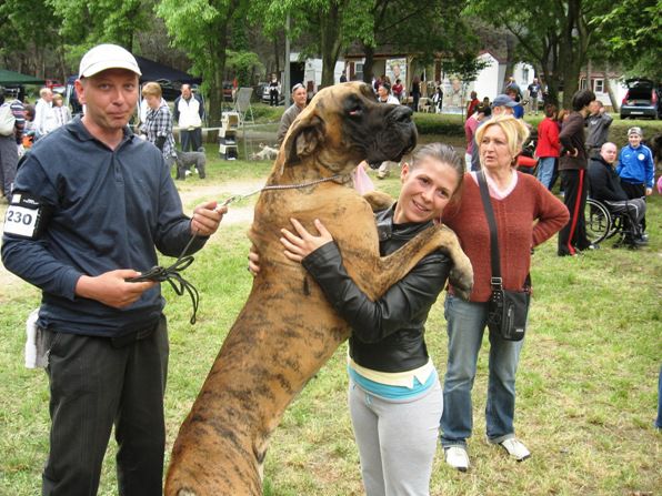 Izložbe 2010 - foto povečava