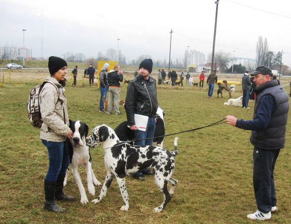 Godina - 2011 - foto povečava