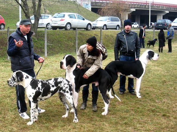 Godina - 2011 - foto