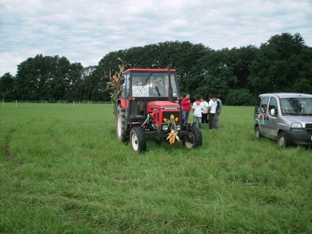 Svetovno prvenstvo v oranju 2009 - foto