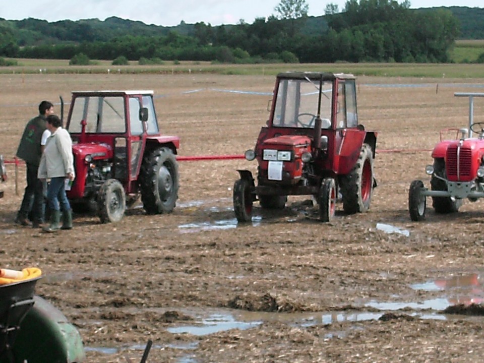 Svetovno prvenstvo v oranju 2009 - foto povečava